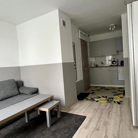 Mlawska 33 Lägenhet Rypin Exteriör bild