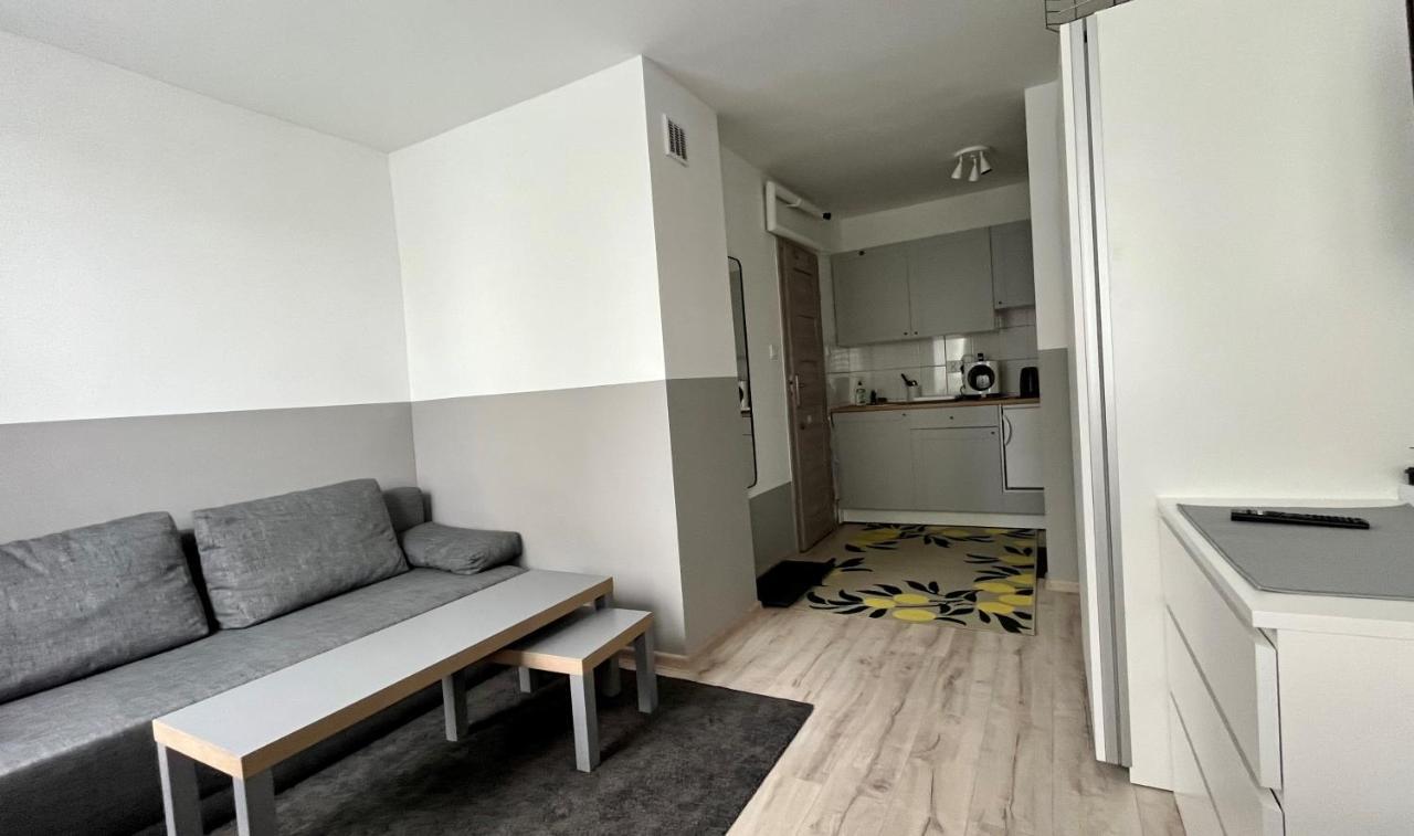 Mlawska 33 Lägenhet Rypin Exteriör bild